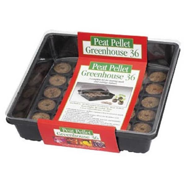 Plantation Products PO36 11 x 11 Green House 36 Peat Pellets 108471 - main